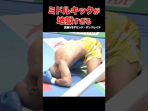 悶絶必死⚡️ミドルキックが地獄すぎる #shorts #k1 #格闘技 #ko