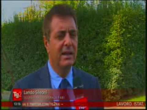 FABI. INTERVISTA DEL TG2 A LANDO SILEONI SULLO SCIOPERO GENERALE DEL 31 OTTOBRE
