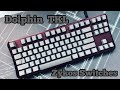 Dolphin TKL with Zykos switches