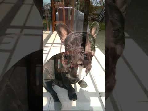 1 de septiembre de 2021