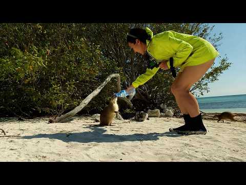 Cuba, A Paradise on the Brink