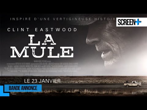 La mule | bande annonce | France 3