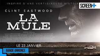 La mule | bande annonce | France 3