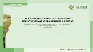 Download lagu Ad Hoc Committee to Investigate Allegations made by Lieutenant General Mkhwanazi, 18 March 2026 mp3