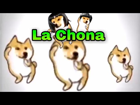 🐶Perritos bailando La Chona🐶
