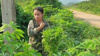 kuv tus hlub wb de ntsis qos ntoo thiab hmab iab.