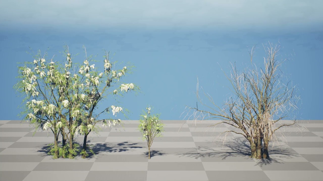 &Aacute;rvore libanesa &aacute;rabe &aacute;rvore de baqueta selvagem Modelo 3D