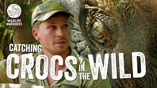 Join Robert Irwin For Crocodile Research | Happy CROCtober!