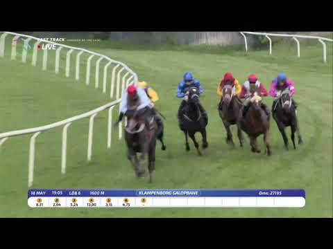 2019.05.18 Chartreuse 2000 Gunienas Trial (DEN) - Sir Antonelli