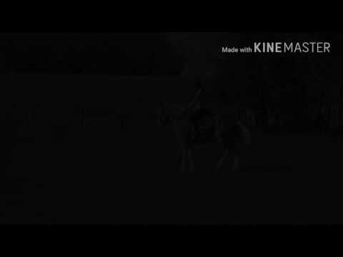 It's not gonna be easy. It's gonna be really hard. [THE BAD TIMES] | Dreamhorse Walli