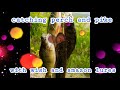 Video Thumbnail for Fishing with "wish" lures