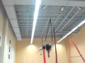 NECCA Audition