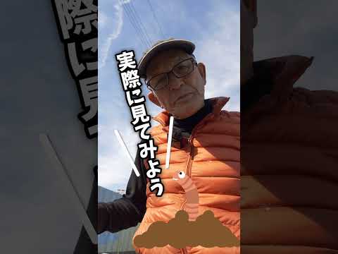 春になったら古いマルチを取り除いたほうがいいでしょうか？ 「はい」の場合、いつですか?  庭園