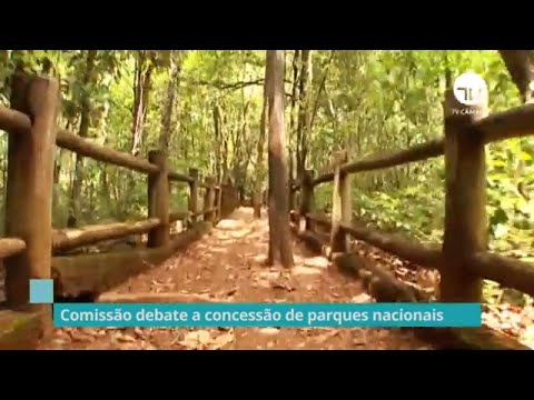 Comissão debate concessão de parques nacionais - 01/07/21