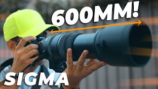 Sigma 150-600mm Sport Review // Heavy Yet POWERFUL!