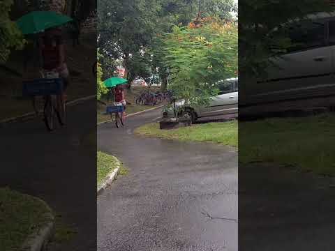 Papucaia - Cachoeiras de Macacu RJ #papucaia #cachoeirasdemacacu #ciclovías #chuvas