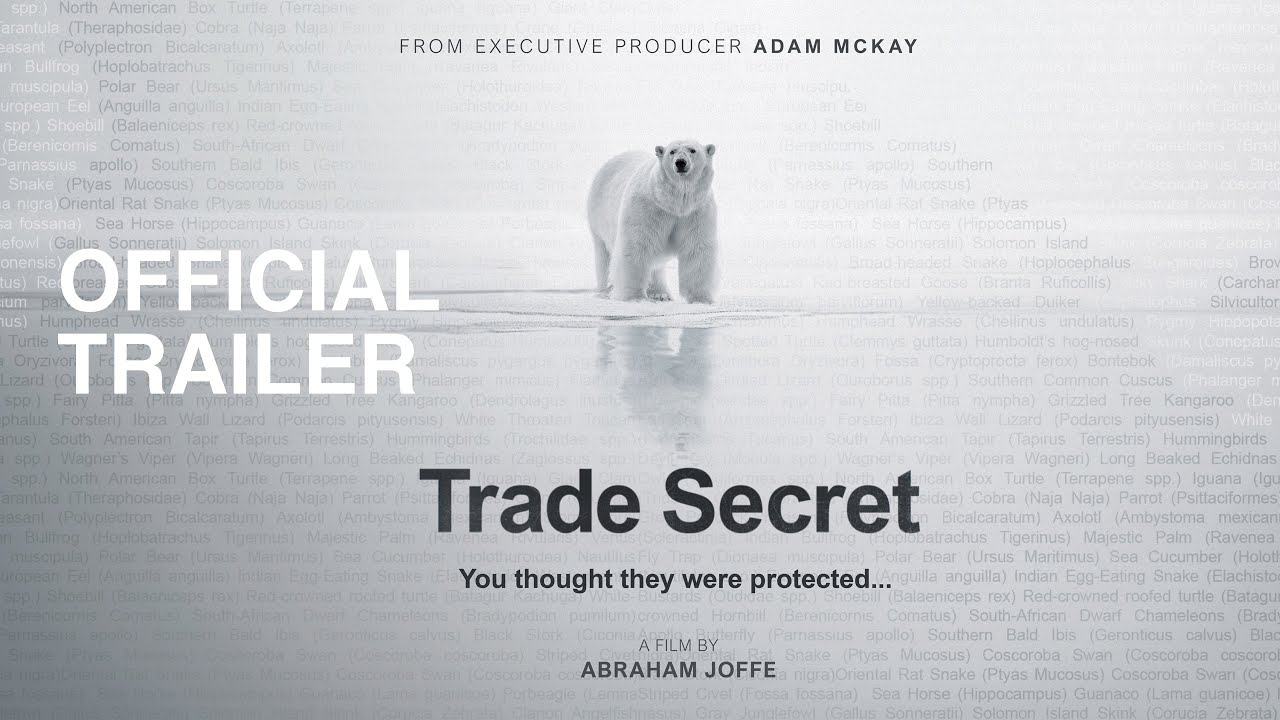 Trade Secret | OFFICIAL TRAILER