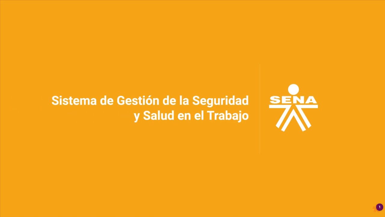 Sistemas de gestión de la seguridad y salud en el trabajo