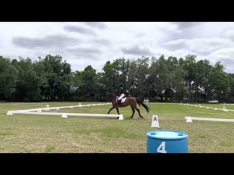 FEI Eventing CCI2* test B