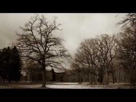 Mircea Vintila - Dor de singuratate