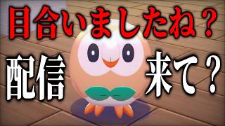 【初見歓迎】初ぽこあポケモン配信！！【ぽこあポケモン】