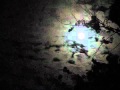 Cowboy Junkies: "Shining Moon"
