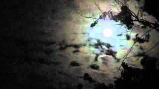 Cowboy Junkies: &quot;Shining Moon&quot;