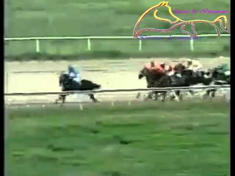 VALENCIA 8 CARRERA, VIERNES 05 DE JUNIO DEL 2015