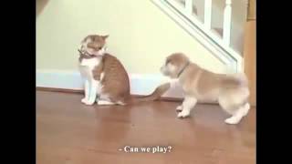 Youtube Downloader 2020 Download Video And Audio From Youtube