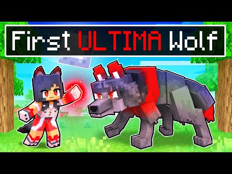 Aphmau - The FIRST ULTIMA Wolf In Minecraft!
