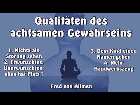 Qualitäten des achtsamen Gewahrseins - Fred von Allmen