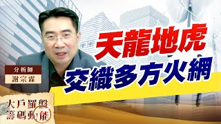 天龍地虎交織多方火網 (圖)