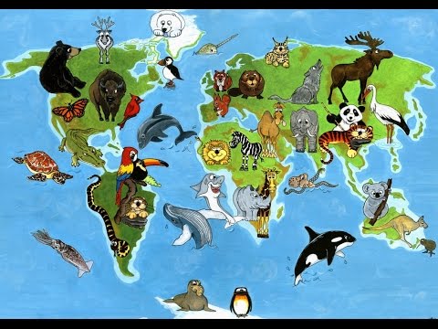 Animals' Sounds in Different Languages: SR/HR Subtitles
