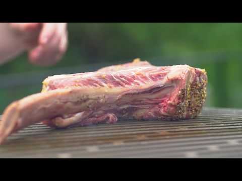 download lagu mp3 mp4 Bol Grill, download lagu Bol Grill gratis, unduh video klip Bol Grill