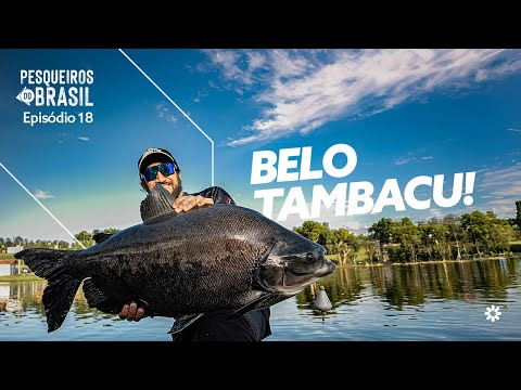 RECEITA INFALÍVEL PARA TAMBAS! Beijinho faz a festa no Quinta do Aveiro