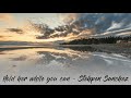 Stephen Sanzhez - Hold Her While You Can  - Lyric Video