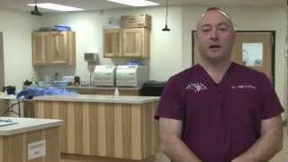 preview picture of video 'Sault Animal Hospital - Short | Sault Ste Marie, MI'