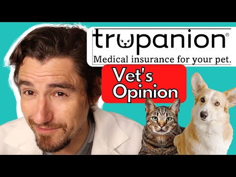 Trupanion Pet Insurance.  Veterinarian's Opinion.