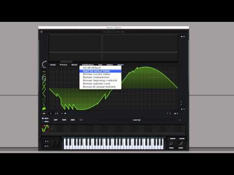 Serum in Depth #21 - Wave Editor Explained