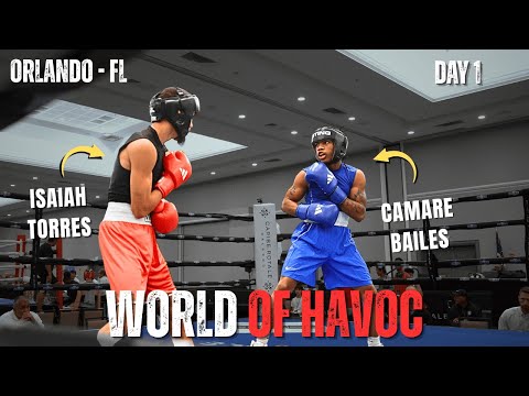 WORLD OF HAVOC! HIGH LEVEL International Boxing Tournament! DAY 1