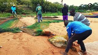 Into The Islands of Lake Victoria