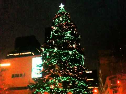 City of Edmonton 2010 Christmas Tree
