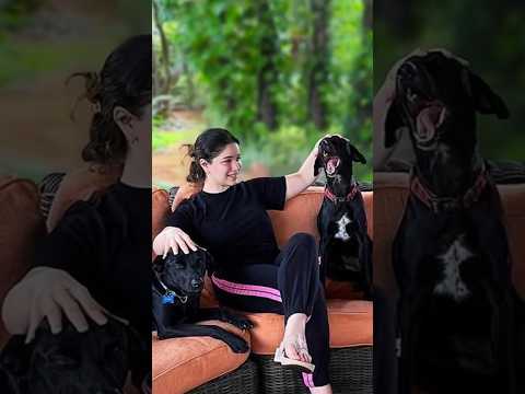 Sara Tendulkar love dogs | Sachin Tendulkar ❤️ #shorts #gill #trending #viralshorts #trendingshorts