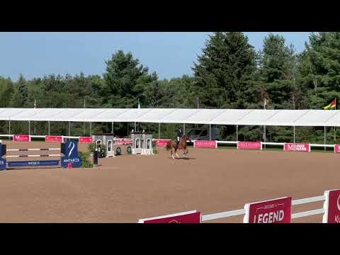 Nox Blue Van De Hertogen video 3