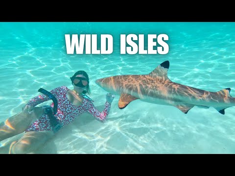 Moorea and Tahiti: The 5 Most Unforgettable Adventures