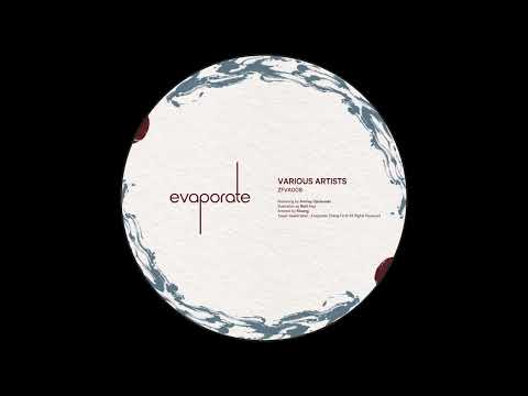 Elsoo - Embraceable You [ZFVA008​​​]