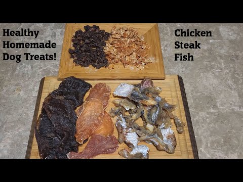 Healthy Homemade Dog Treats - Chicken, Steak, & Fish