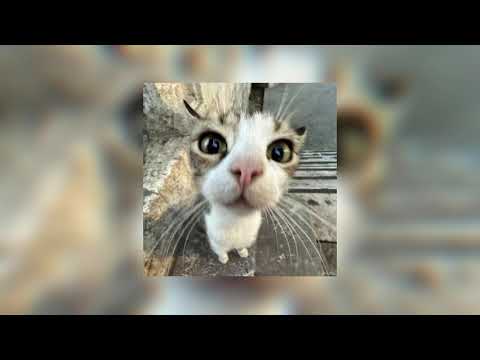 Khmer Gentlemen ~ Vanthan x VannDa (speed-up)