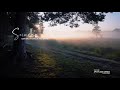 Dhimu Dhimu WhatsApp Status Engeyum Kadhal Sad WhatsApp Status Spotless Mindz