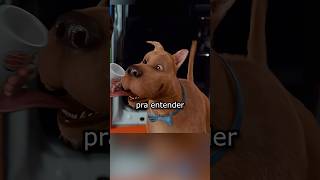 Só entendi ANOS DEPOIS em Scooby Doo